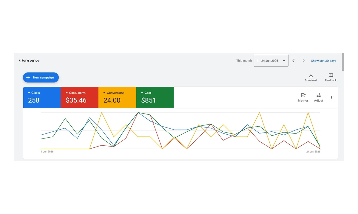 Google Ads overview showing 24 conversions at $35.46 each from 258 clicks